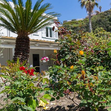 Villa Al Mare - Famiglia Calise Forio di Ischia Kültér fotó