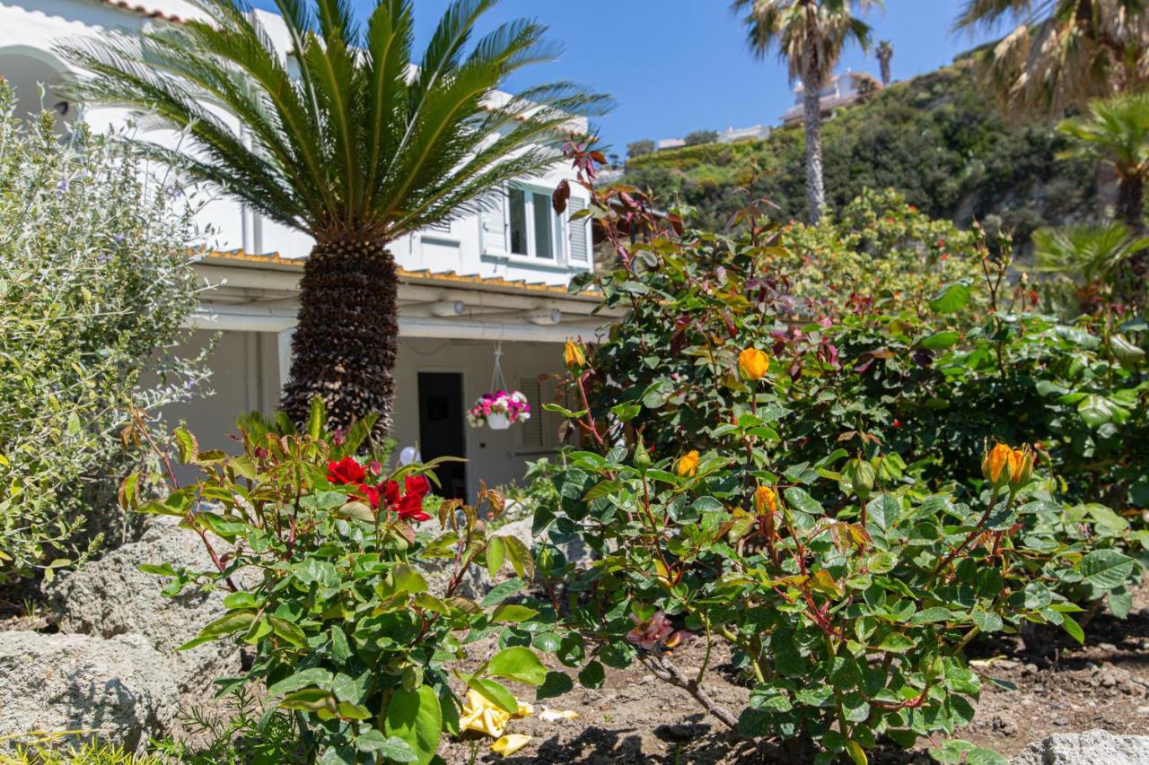 Villa Al Mare - Famiglia Calise Forio di Ischia Kültér fotó